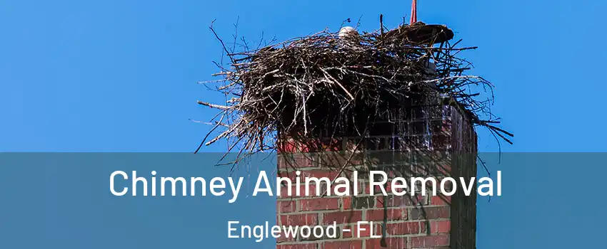  Chimney Animal Removal Englewood - FL