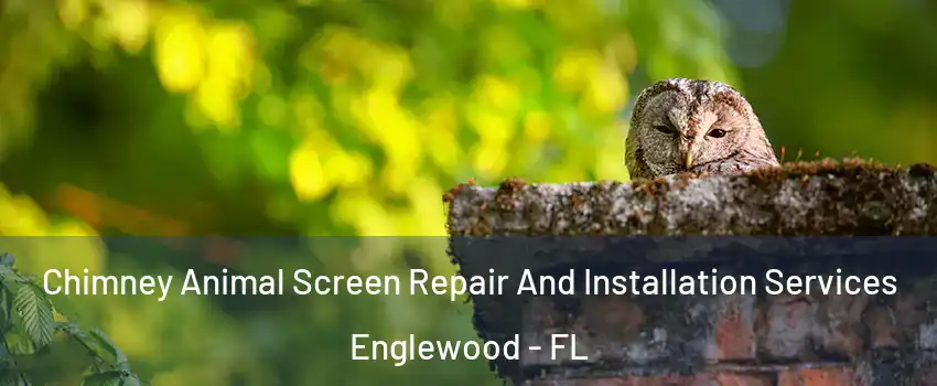  Chimney Animal Screen Repair And Installation Services Englewood - FL