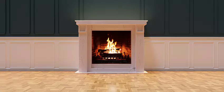 Napoleon Electric Fireplaces Inspection Service in Englewood, Florida