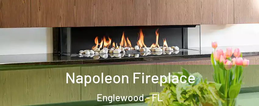  Napoleon Fireplace Englewood - FL